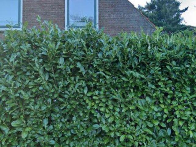 Studio te huur in Rhenen, Utrecht