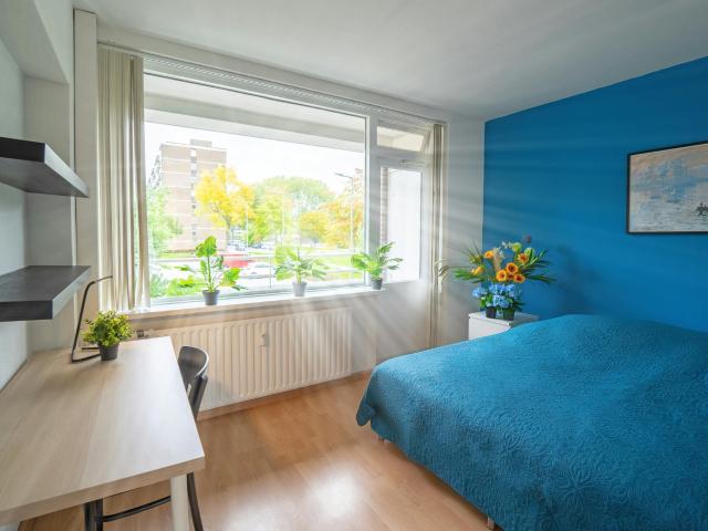 Kamer te huur in Het Lage Land, Rotterdam