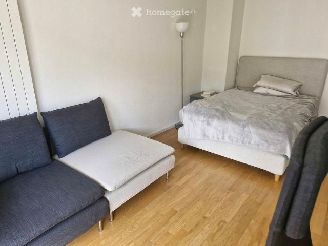 Apartment mieten in Alt-Wiedikon, Zürich