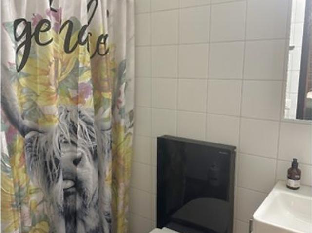 Studio mieten in Einigen, Zürich