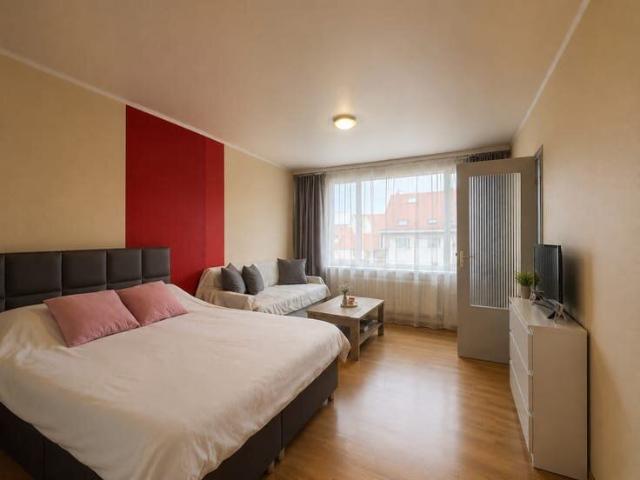 Kot location à D'hoye, Bruxelles