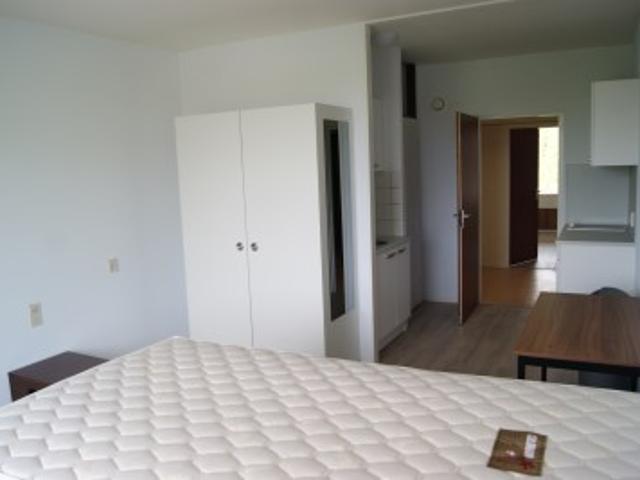 Studio te huur in Duivendrecht, Noord Holland