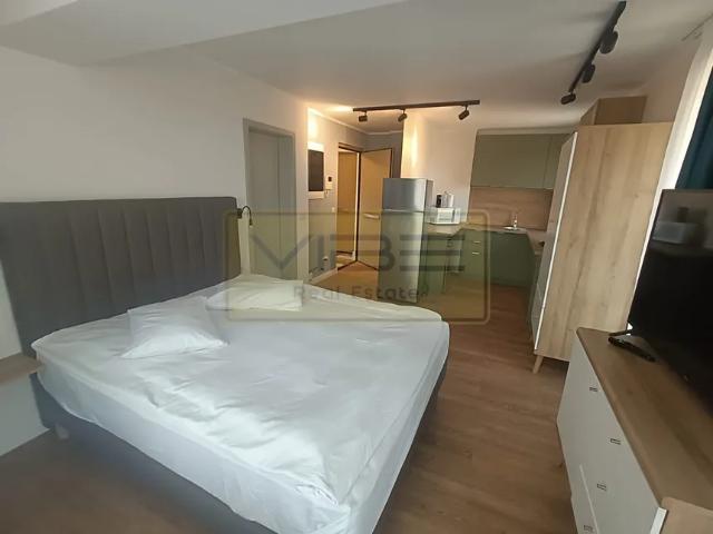 Studio închirieri în Iasi