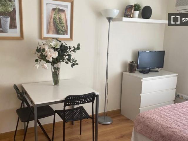 Estudio en alquiler en Madrid, Castellana