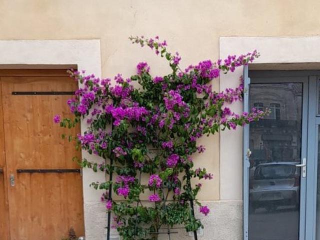 Appartement location à Montpellier, Villeneuve-lès-maguelone