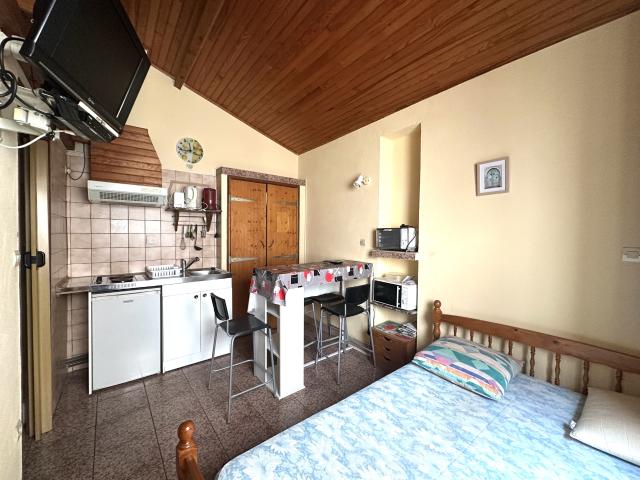 Studio location à Céret, Amélie-les-bains-palalda