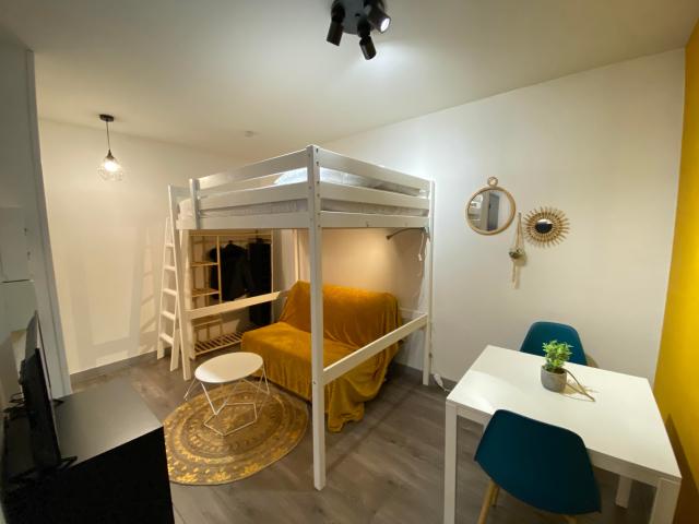 Appartement location à Saint-Étienne, Saint-etienne