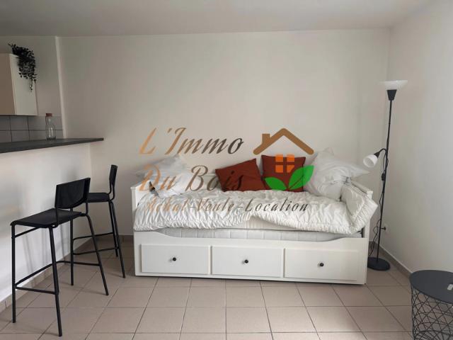 Appartement location à Vienne