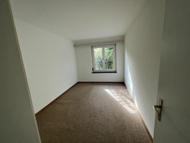 Studio mieten in Zollikon, Zürich