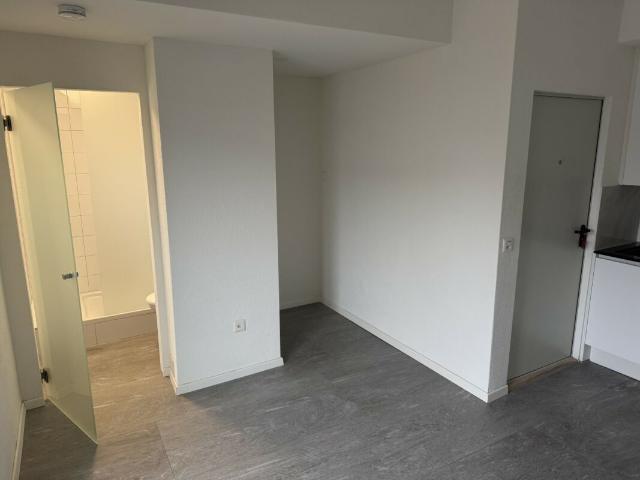 Apartment mieten in Einigen, Zürich