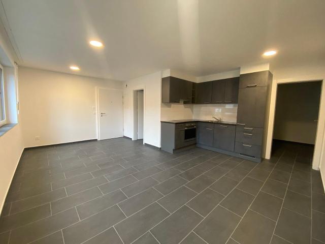 Immobilie kaufen in Hölstein, Basel-Landschaft
