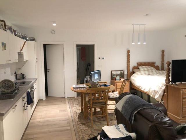 Kot location à Jurbise, Wallonie