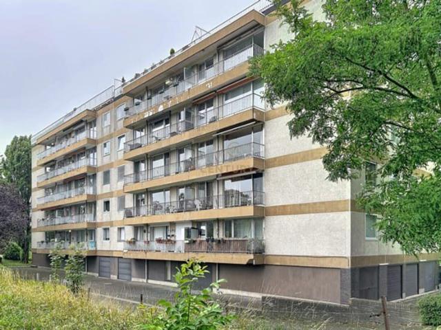 Kot location à Berchem, Bruxelles