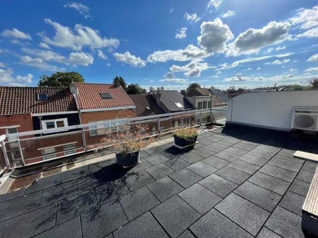 Kot location à Strombeek-bever, Brabant