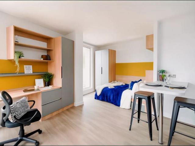 Studio for rent in Bevendean, Brighton & Hove