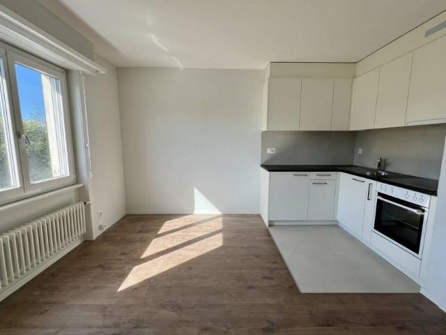 Apartment mieten in Estavayer-le-Lac, Freiburg