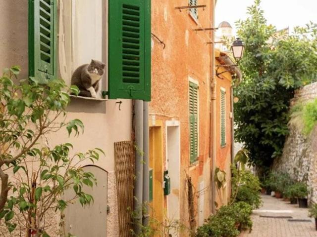 Appartement vente à Nice, Saint-jean-cap-ferrat