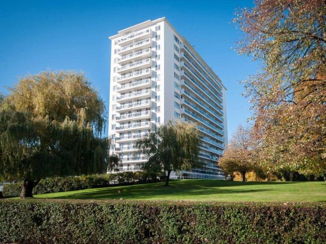 Kot location à Zwaantjes, Antwerpen