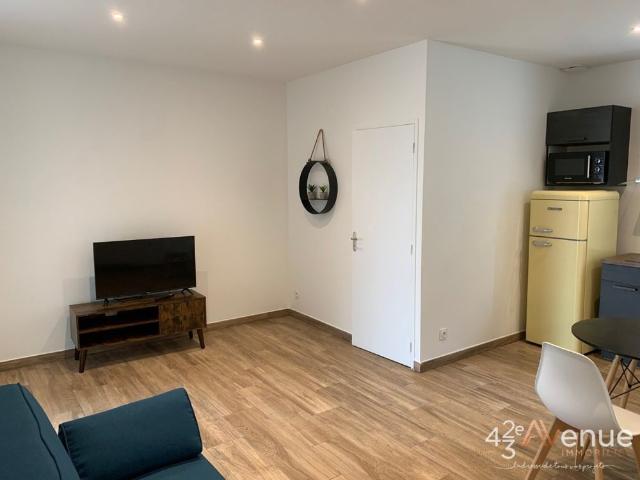 Studio location à Saint-Étienne, Saint-etienne