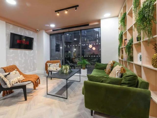 Studio for rent in Newtown, Two Mills