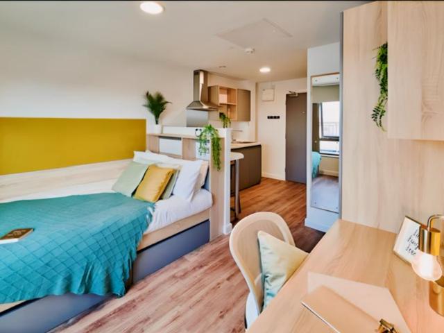 Studio for rent in Haddon, East Midlands