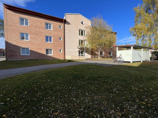 Bostad hyra i Skellefteå, Västerbotten