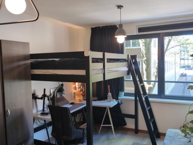 Woning te huur in Wippolder, Delft