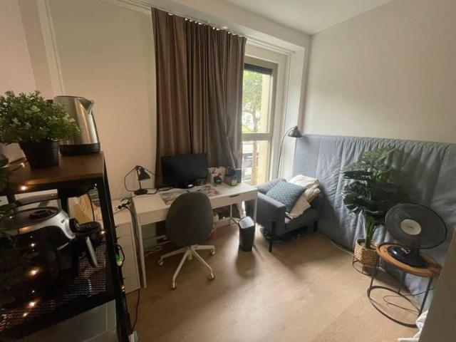 Kot location à Antwerpen