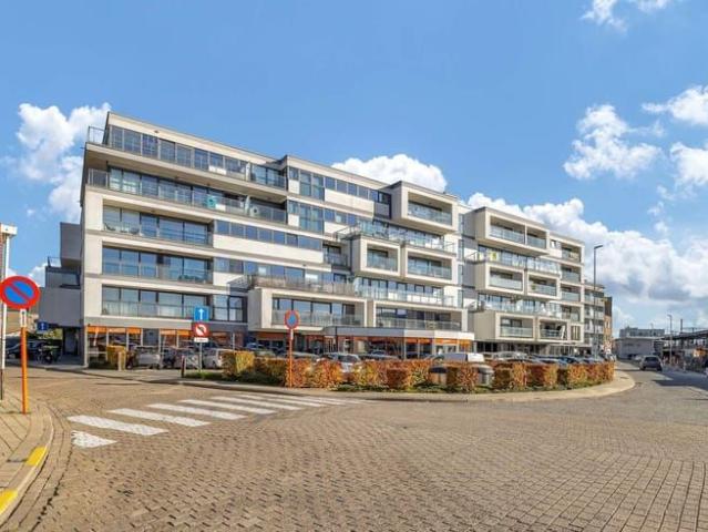 Kot location à Denderleeuw, Oost-Vlaanderen