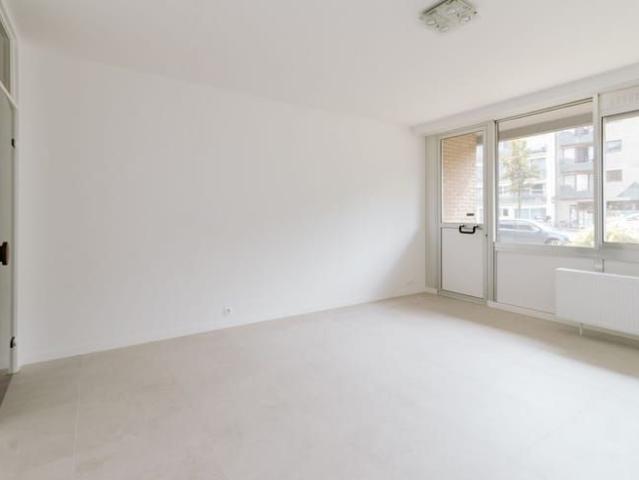 Kot location à Antwerpen