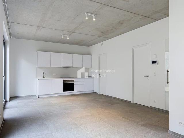 Kot location à Dam, Antwerpen
