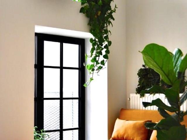 Kot location à Lava, Brabant