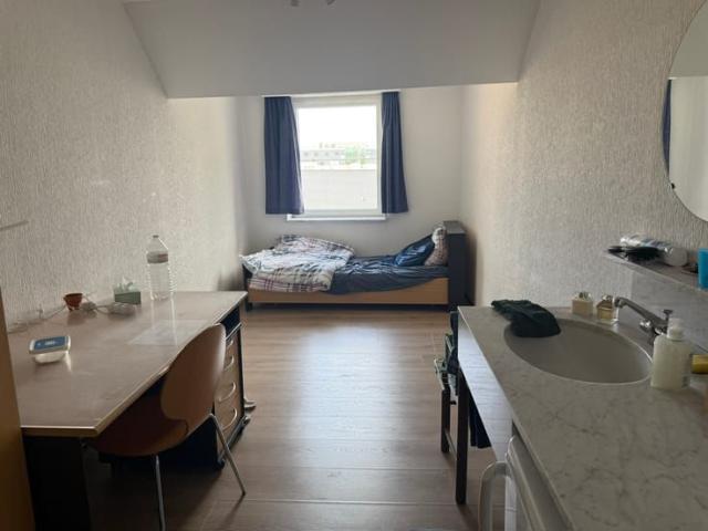 Kot location à Desteldonk, Oost-Vlaanderen