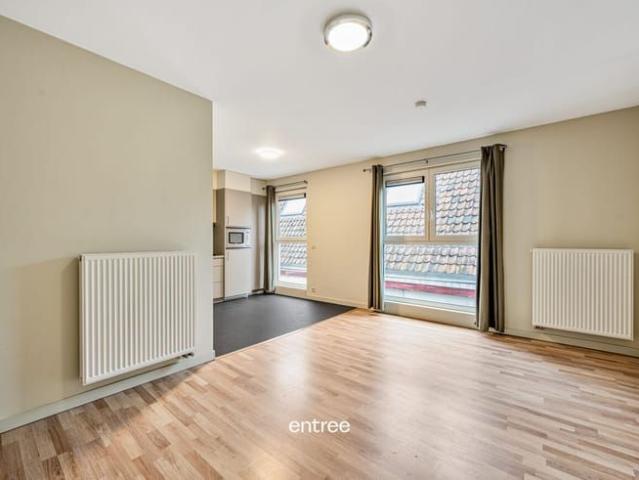 Kot location à Desteldonk, Oost-Vlaanderen