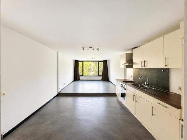 Kot location à Petite Suisse - Klein-Zwitserland, Ixelles - Elsene