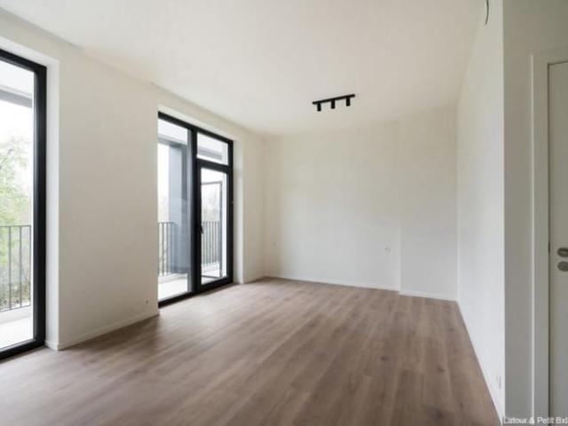 Kot location à Sint-lambrechts-woluwe, Bruxelles