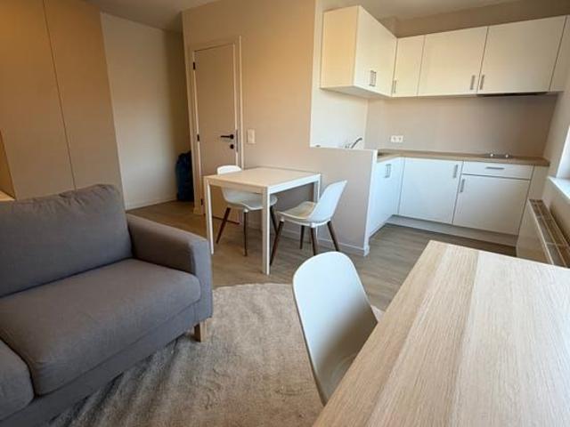 Kot location à Schipperskwartier, Antwerpen