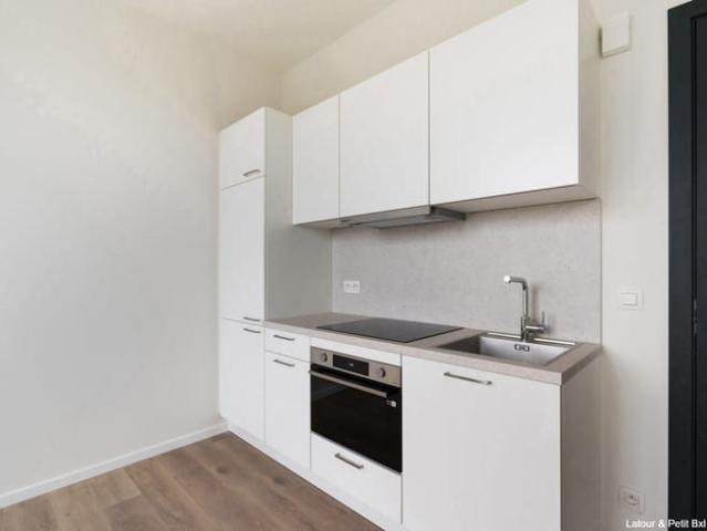 Kot location à Sint-lambrechts-woluwe, Bruxelles