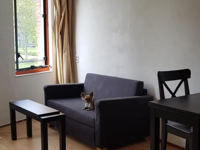 Studio te huur in Zuidoost, Amsterdam