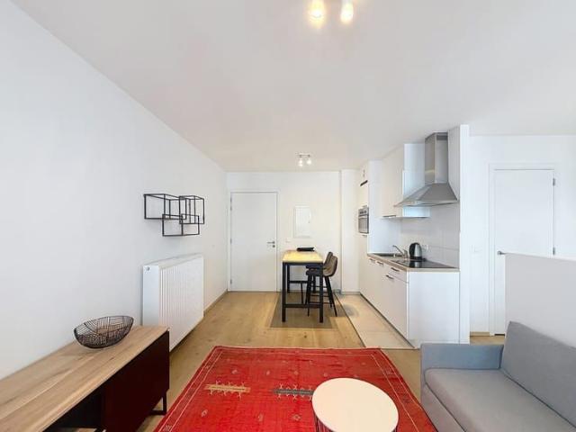Kot location à Brussel, Bruxelles