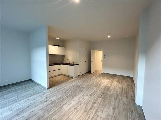 Kot location à Antwerpen