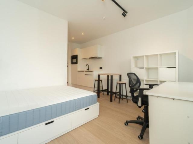Kot location à Sint-Jacobs, Gent