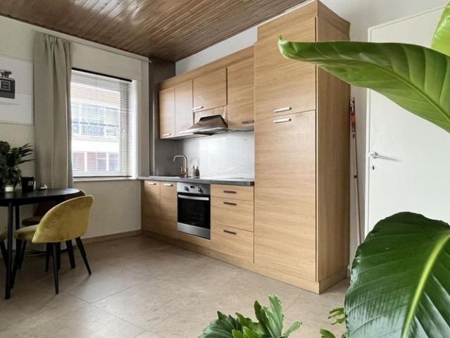 Appartement location à Courtrai, West-Vlaanderen