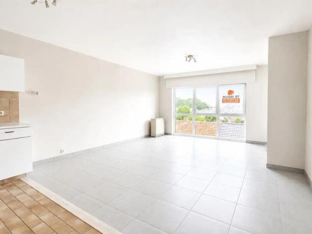 Kot location à Zele, Oost-Vlaanderen