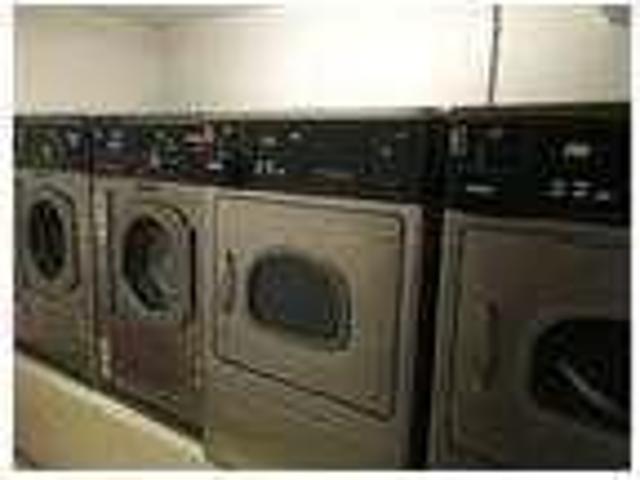 House for rent in Albany, Alameda County