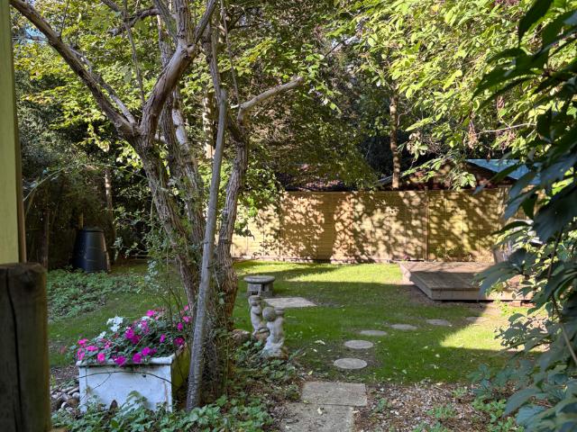 Studio for rent in Cross In Hand, East Sussex