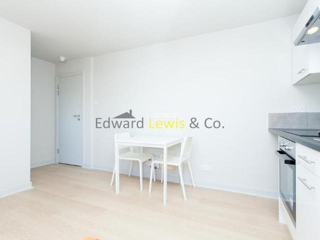 Studio for rent in Lower Clapton, Greater London