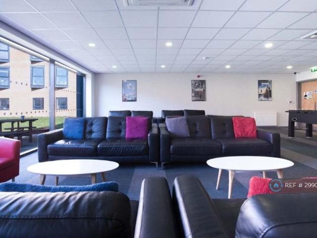 Studio for rent in Stoke, Stoke-on-Trent