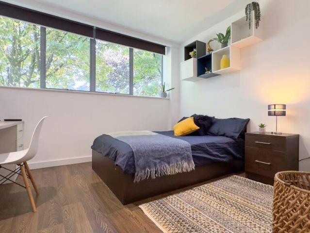 Studio for rent in Pennycomequick, Mount Wise