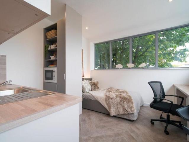 Studio for rent in Pennycomequick, Mount Wise